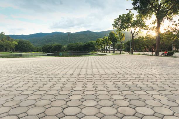 Best Affordable Driveway Pavers  in Duvall, WA